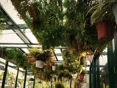 -339旋转餐厅(天府熊猫塔店)