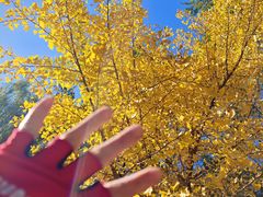 -长白岛森林公园