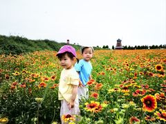 -君乐宝优致牧场