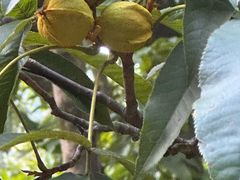 -东天目山风景区