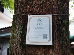 -将军关探险漂流