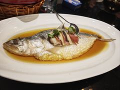 酒香蒸鲥鱼-上海1号私藏菜(黄浦店)