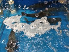 -姜君·千岛湖鱼头馆(浦东大道店)