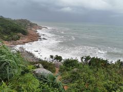 -广东惠东海龟国家级自然保护区