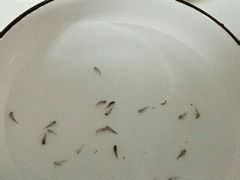 -比尔斯健康烤肉自助餐厅