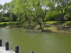 -白塘生态植物园