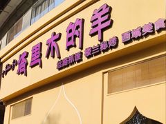 -塔里木的羊·新疆特色餐厅(钱湖北路店)