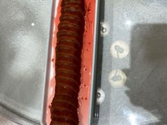 糯米藕-大铁勺新津菜(东丽阳光新业广场店)