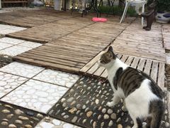 -鼎画艺术机构(贵都店)