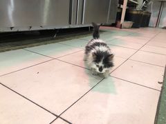 -邢老三肉丸糊辣汤(西安总店)