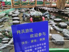-上海大自然野生昆虫馆(东方明珠·爬宠昆虫探索中心)
