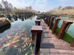 -宁波杭州湾国家湿地公园