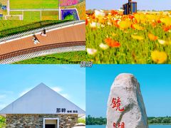 -江苏三台山国家森林公园