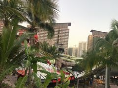 -亚马逊丛林水乐园