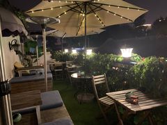 -Sirena海妖日咖夜酒