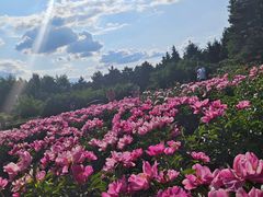 -长春公园(普阳街道)