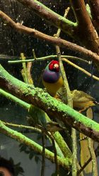 -Zoolung Zoolung动物主题公园(海信广场店)