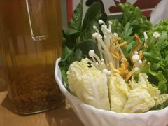 -掂档潮汕牛肉火锅(沈阳万象城店)