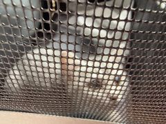 -芭比堂动物医院·CT·微创中心(新顺分院)