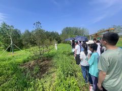 -东郊湿地公园