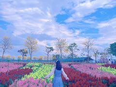-天适樱花悠乐园