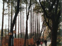 -上海醉白池公园