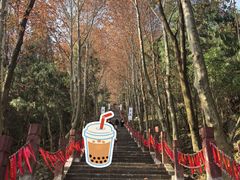 -窦圌山风景区