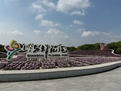 -上海鲜花港