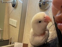 -苏州香山国际大酒店