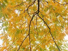 -商丘市人民公园