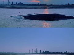 -碧海金沙