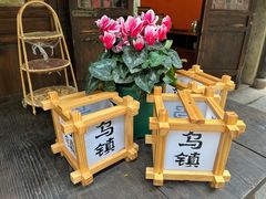 -乌镇西栅景区