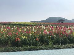 -径山花海