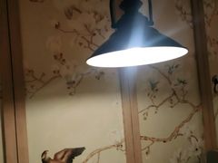 -野妹经典火锅(民治店)