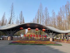 -东平国家森林公园