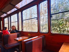 -合肥滨湖国家森林公园