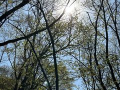 -香炉山国家森林公园