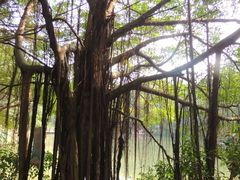 景点-茂德公草堂