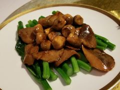 -唐阁(香港朗廷酒店)