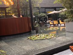 -Tivano意大利餐厅(成都居舍酒店)