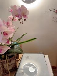 点击看大图 -宥莉·ULLY 痘敏肌•科技皮肤管理中心