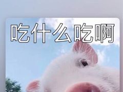 -鲜芋仙(常州吾悦国际广场店)