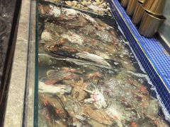 -丰卓会海鲜自助(中润大道店)