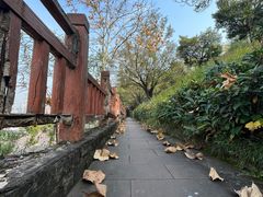 -大渡口区义渡公园