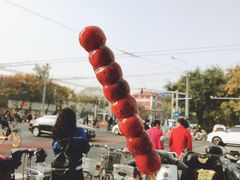-和禄德冰糖葫芦