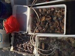 -山东八大碗山东老字号