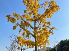 -江南大学(蠡湖校区)