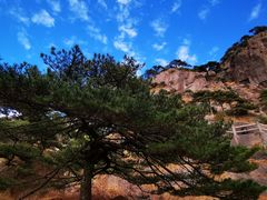 -黄山风景区