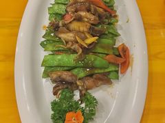 -兴芮温泉度假区