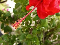 -维乐口腔医院(福清院)